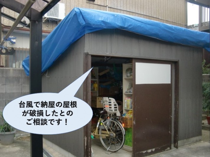 忠岡町の納屋の屋根の調査