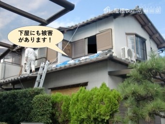 阪南市の下屋にも被害があります