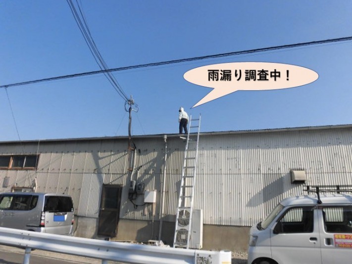 岸和田市磯上町の倉庫の雨漏り現地調査
