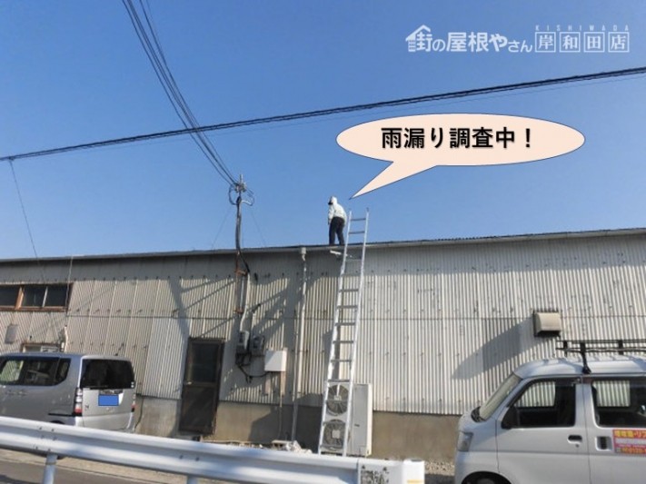 岸和田市磯上町の倉庫の雨漏り現地調査