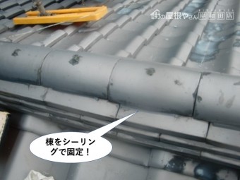 岸和田市の棟をシーリングで固定