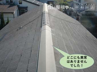 阪南市の屋根はどこにも異常はありませんでした