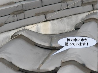岸和田市の棟の中に雨が入っています!