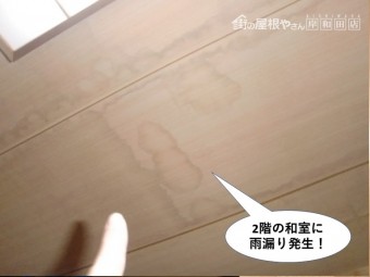 熊取町の2階の和室に雨漏り発生