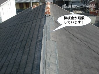 忠岡町の棟板金が飛散しています