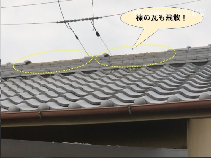 貝塚市の棟の瓦も飛散!