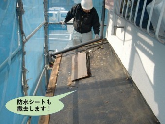 岸和田市の下屋の防水シートも撤去します!