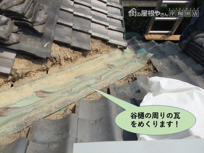 岸和田市の谷樋の周りの瓦をめくります
