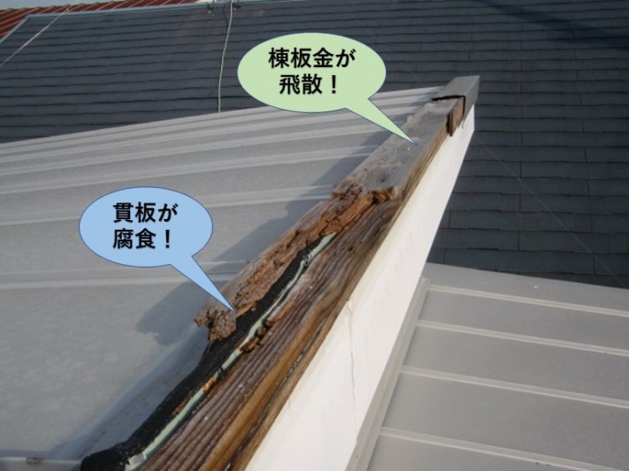貝塚市の棟板金が飛散し貫板が腐食