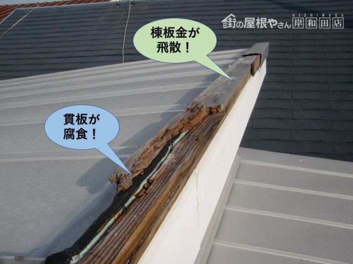 貝塚市の棟板金が飛散し貫板が腐食