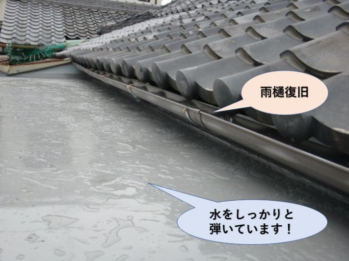 岸和田市の陸屋根/水をしっかりと弾いています!