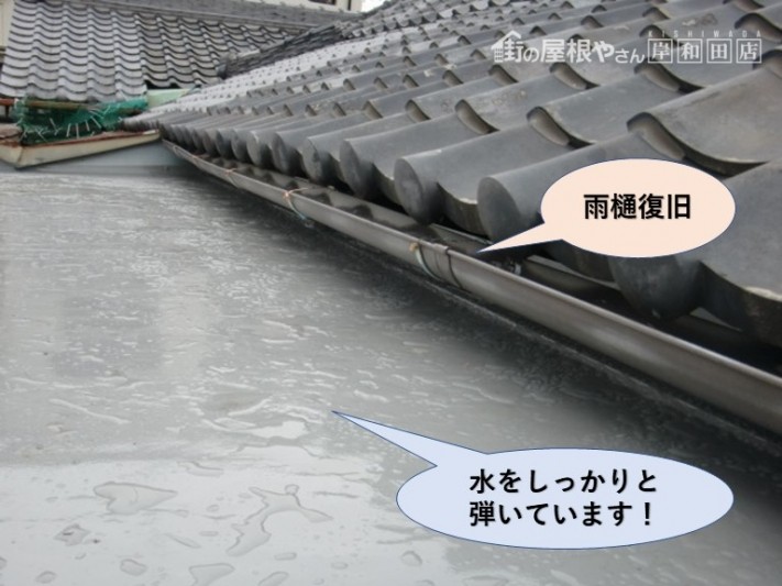 岸和田市の陸屋根/水をしっかりと弾いています!
