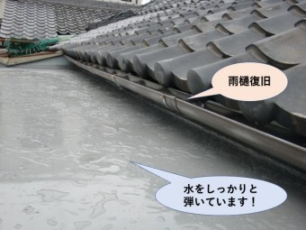 岸和田市の陸屋根/水をしっかりと弾いています!