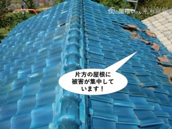 岸和田市の片方の屋根に被害が集中