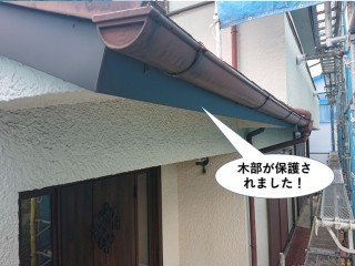和泉市の鼻隠しの木部が保護されました