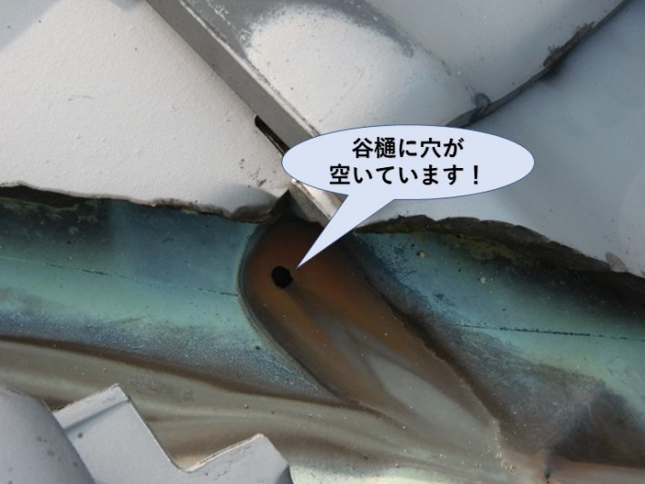 泉南市樽井の屋根の谷樋に穴が空いています!