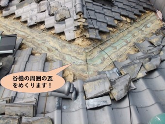 泉大津市の谷樋の周囲の瓦をめくります!