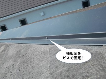岸和田市の降り棟の棟板金をビスで固定