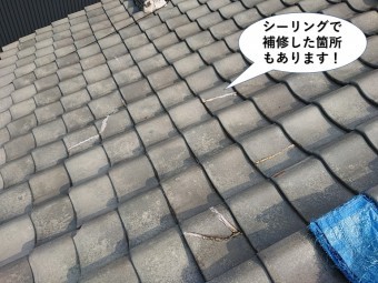 泉佐野市の屋根にシーリングで補修した箇所もあります