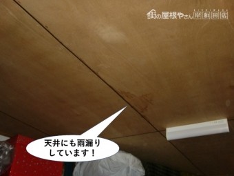 泉北郡忠岡町の天井にも雨漏りしています