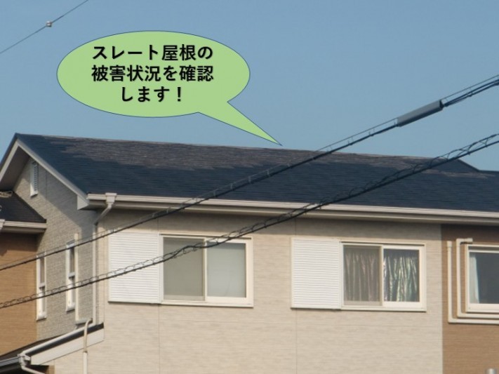 貝塚市のスレート屋根の被害状況を確認