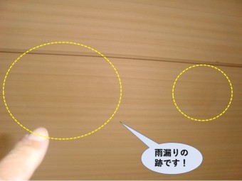和泉市の天井の雨漏りの跡です!