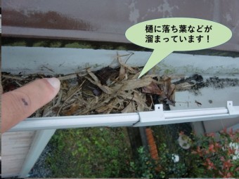 岸和田市の樋に落ち葉などが溜まっています!