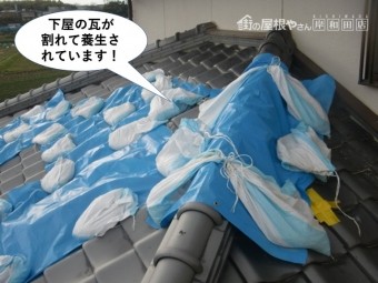 岸和田市の下屋の瓦が割れて養生されています
