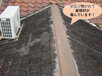 岸和田市の増築部の屋根が塗装が剥がれて屋根材が傷んでいます