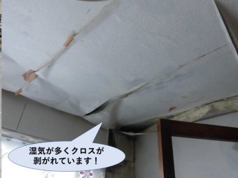 岸和田市の洗面所の湿気が多くクロスが剥がれています!