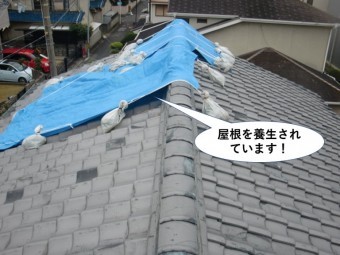 熊取町の屋根を養生されています
