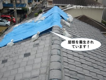 熊取町の屋根を養生されています