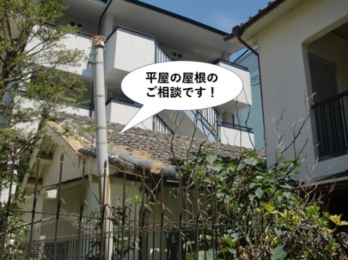 泉大津市の平屋の屋根のご相談