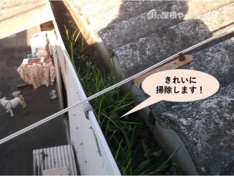 岸和田市の雨樋を掃除します!