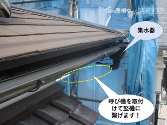 忠岡町で呼び樋を取付けて竪樋に繋げます