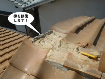 和泉市の棟を修復します