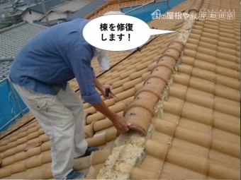 和泉市の棟を修復します