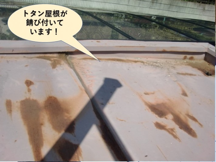 泉南市のトタン屋根が錆び付いています