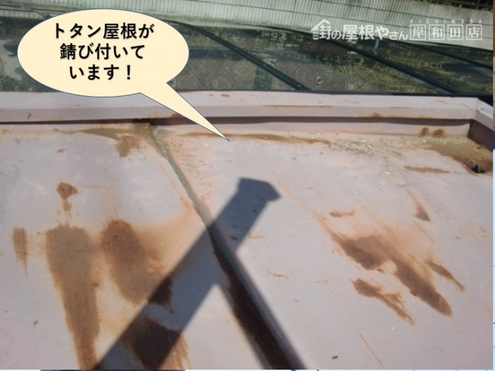 泉南市のトタン屋根が錆び付いています