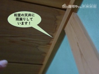 熊取町の1階の和室の天井に雨漏りしています