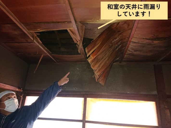 岸和田市の和室の天井に雨漏りしています