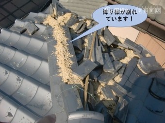 泉大津市の大屋根の降り棟が崩れています!