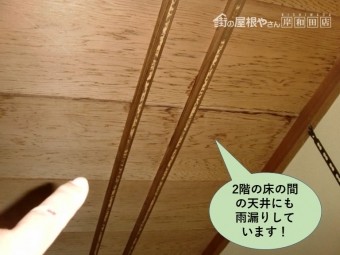 泉大津市の2階の床の間の天井にも雨漏り発生