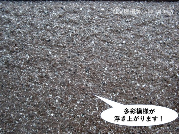 和泉市の外壁に多彩模様が浮き上がります