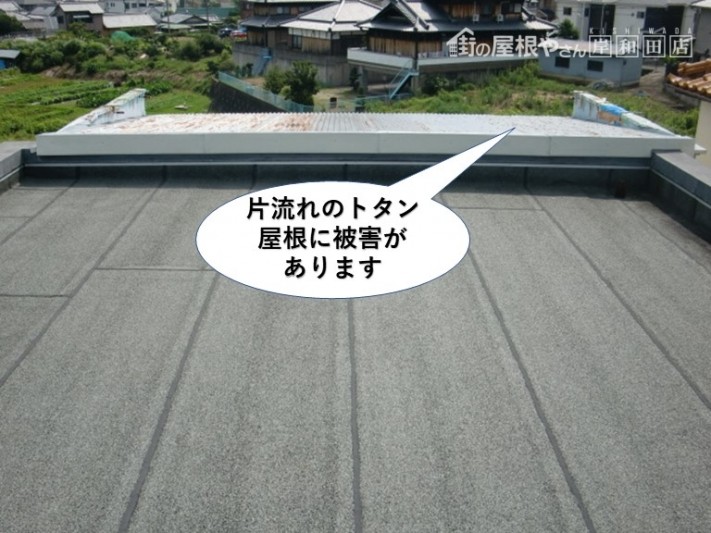 泉佐野市の片流れのトタン屋根に被害があります