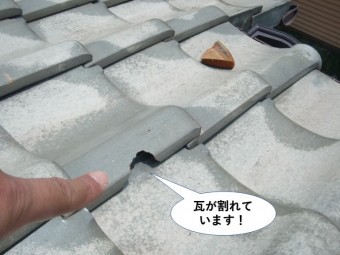 泉佐野市の瓦が割れています