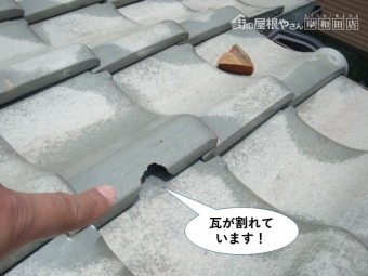 泉佐野市の瓦が割れています