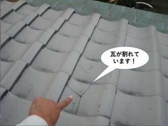 岸和田市の瓦が割れています!