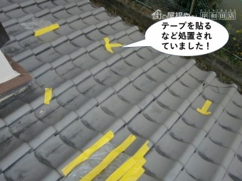 岸和田市の下屋をテープを貼るなど処置されていました