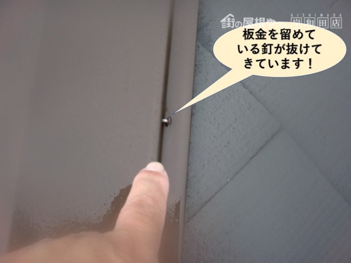 岸和田市の板金を留めている釘が抜けてきています